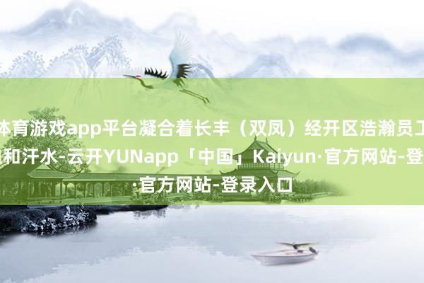 体育游戏app平台凝合着长丰（双凤）经开区浩瀚员工的心血和汗水-云开YUNapp「中国」Kaiyun·官方网站-登录入口