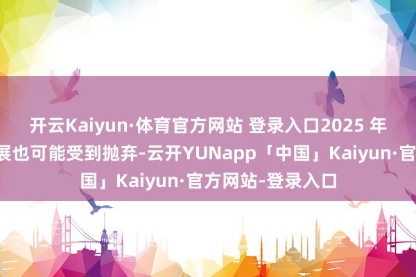 开云Kaiyun·体育官方网站 登录入口2025 年上半年利润率扩展也可能受到抛弃-云开YUNapp「中国」Kaiyun·官方网站-登录入口