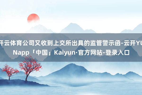 开云体育公司又收到上交所出具的监管警示函-云开YUNapp「中国」Kaiyun·官方网站-登录入口