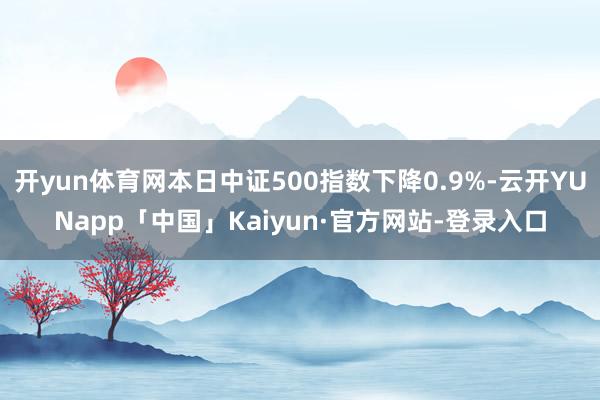 开yun体育网本日中证500指数下降0.9%-云开YUNapp「中国」Kaiyun·官方网站-登录入口